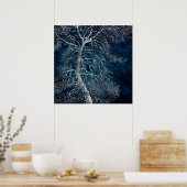 Midnight Silver tree - Black Poplar Poster (Keuken)