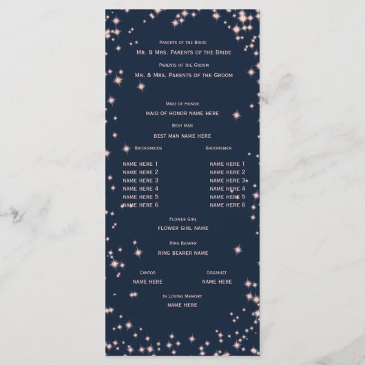 Midnight Sky Twinkle Navy blauw en roze Programma (Achterkant)