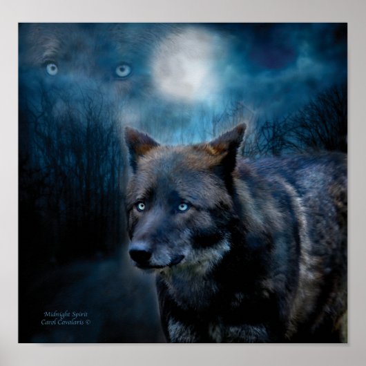 Midnight Spirit Art Poster/Print Poster (Voorkant)