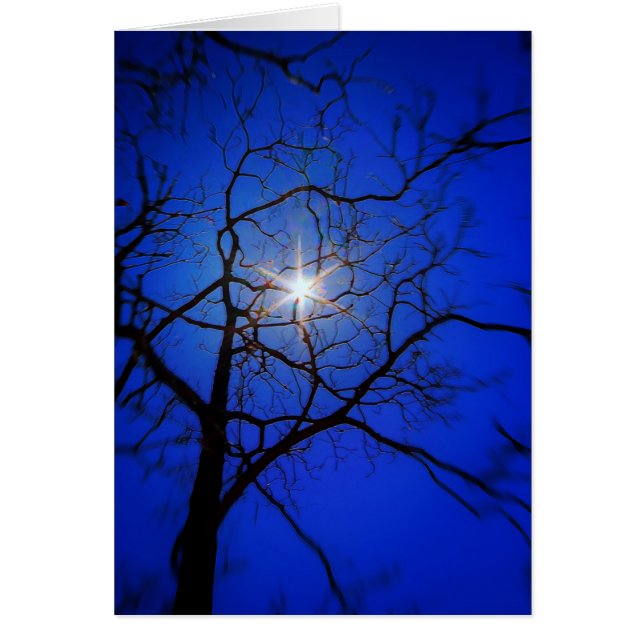 Midnight Sun (Voorkant)