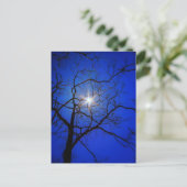 Midnight Sun Briefkaart (Staand voorkant)