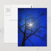 Midnight Sun Briefkaart (Voorkant / Achterkant)