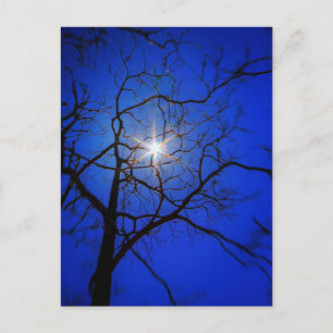 Midnight Sun Briefkaart