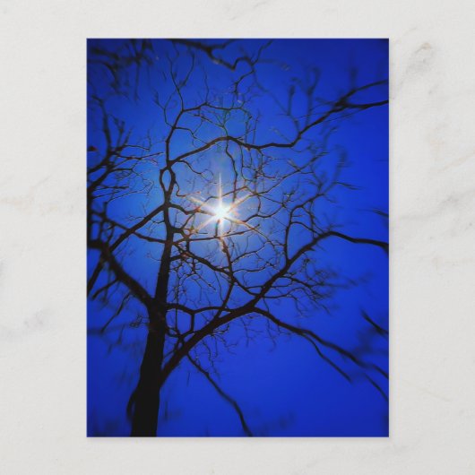 Midnight Sun Briefkaart (Voorkant)