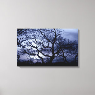 Midnight Sunset Canvas Afdruk