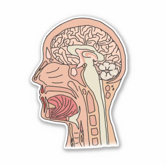 Midsagittal Brain Cross Sticker (Voorkant)