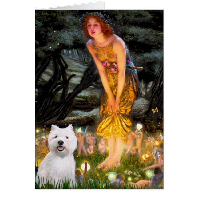 Midsummeravond - Westie 2 (Voorkant)