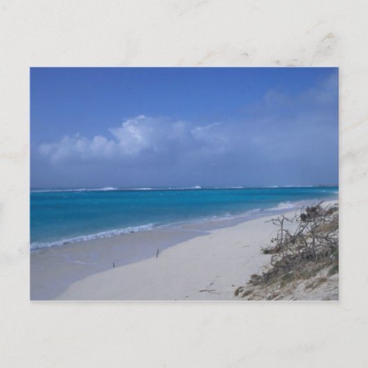 Midway Atoll Beach Briefkaart (Voorkant)