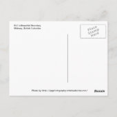 Midway van het vlaggenspoor - Postkaart (Achterkant)