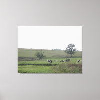 Midwest Boerderij Zuivel Koeien Fotografie Wandkun