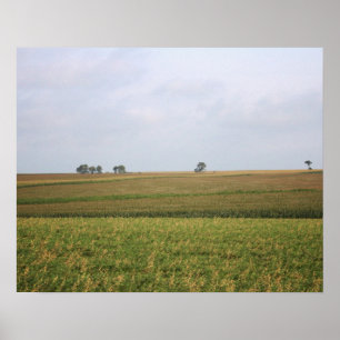 Midwest Cornfield Landscape Color 16x20 Poster