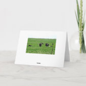 Midwest Farm Payscape View Photographie Carte blan (Dos)
