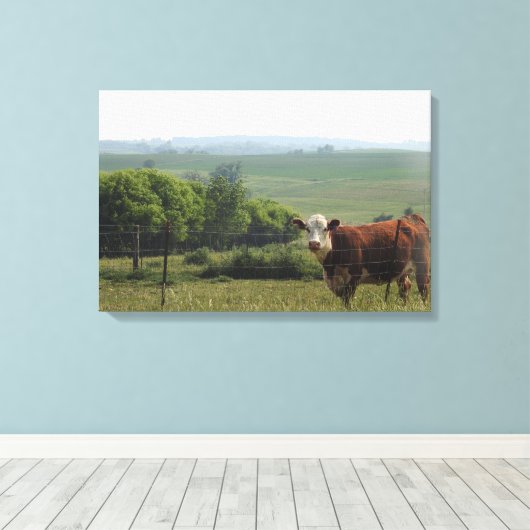 Midwest Fotografie | Mooie Koe en landschap Canvas Afdruk (Insitu (Houten vloer))