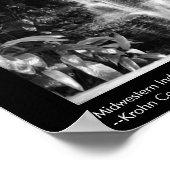 MidWestern Rainforest Poster (Hoek)