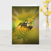 Miel Abeille Sur Coneflower, carte (Fleur jaune)