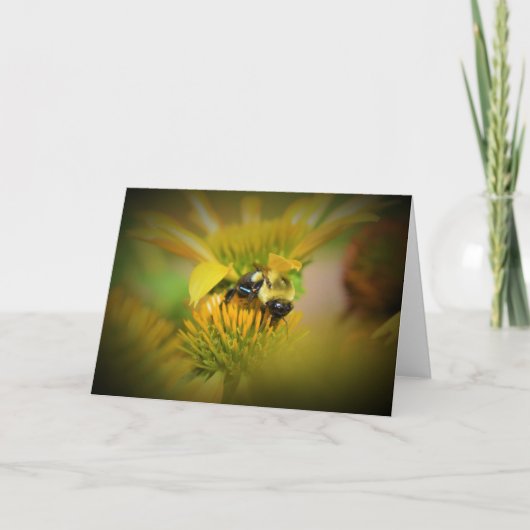 Miel Abeille Sur Coneflower, carte (Devant)