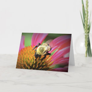 Miel Abeille Sur Coneflower, carte