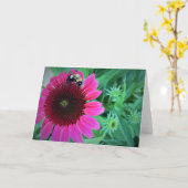 Miel Abeille Sur Coneflower, carte (Fleur jaune)