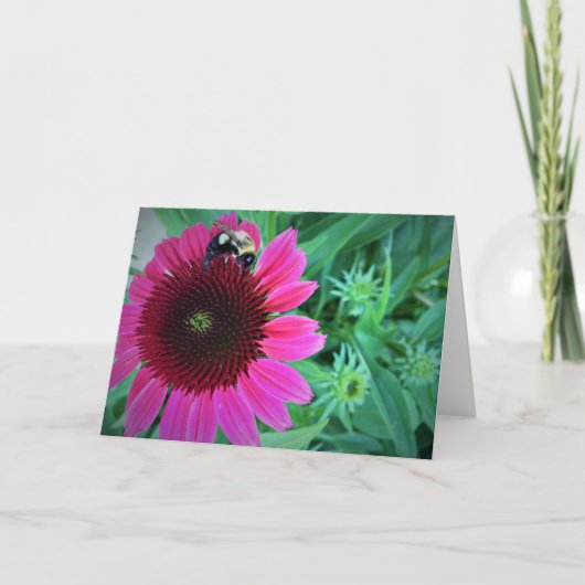 Miel Abeille Sur Coneflower, carte (Devant)