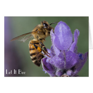 Miel abeille sur Lavender Carte photo Flower
