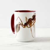 MIER-MOKKEN MOK (Voorkant links)