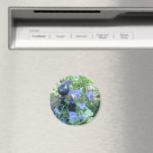 Mier & Viooltjes Magneet (Insitu (Vaatwasser))