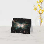 Mierennevel Mz3 Kaart (Gele Bloem)