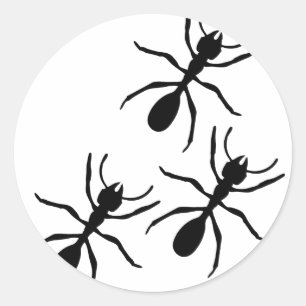 mierenpad ronde sticker