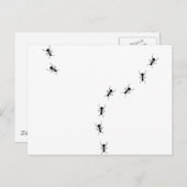 mierikoon briefkaart (Voorkant / Achterkant)