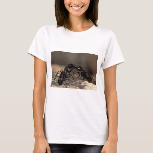 mierzoenen t-shirt