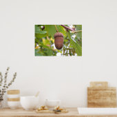 Mighty Acorn in een eikenboom Poster (Keuken)