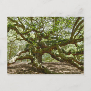 Mighty Angel Oak Briefkaart