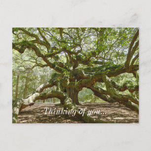 Mighty Angel Oak Briefkaart