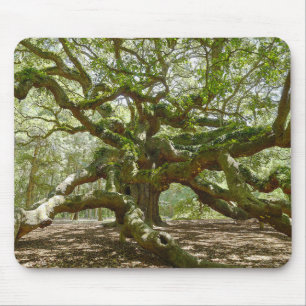Mighty Angel Oak Muismat