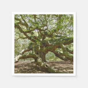Mighty Angel Oak Servet