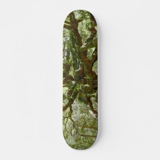 Mighty Angel Oak Skateboard (Devant)
