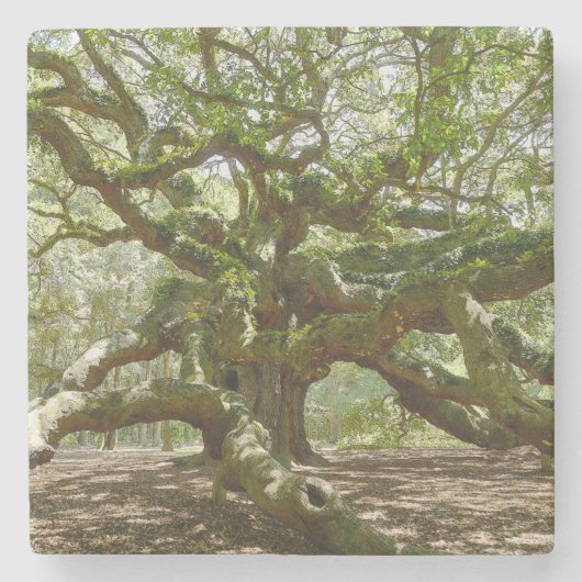 Mighty Angel Oak Stenen Onderzetter (Voorkant)