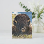Mighty Bison Briefkaarten (Staand voorkant)