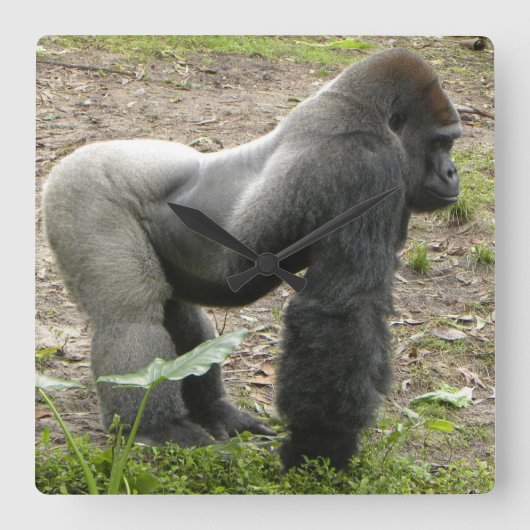Mighty Gorilla Clock Vierkante Klok (Voorkant)