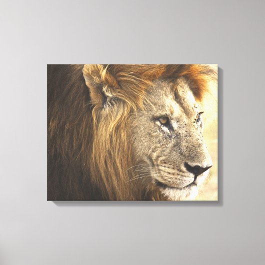 Mighty Lion Canvas Afdruk (Voorkant)