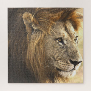 Mighty Lion Legpuzzel