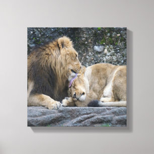 Mighty Lion Love Canvas Afdruk