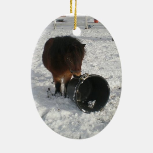 Mighty Mini Ornament (Achterkant)