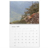 Mighty Mutts Active Dogs Kalender (Jan 2027)