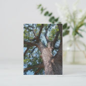 Mighty Oak Briefkaart (Staand voorkant)