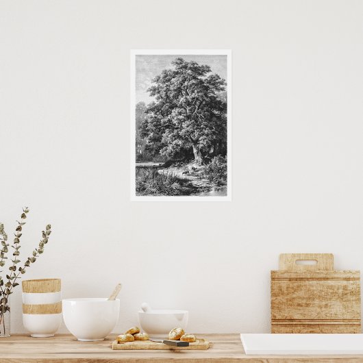 Mighty Oak Tree  zwart-wit Poster (Keuken)