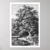 Mighty Oak Tree  zwart-wit Poster (Voorkant)