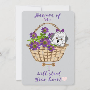 Mignon avec carte de la Saint-Valentin de chiot à