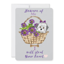 Mignon avec carte de la Saint-Valentin pour chiot 
