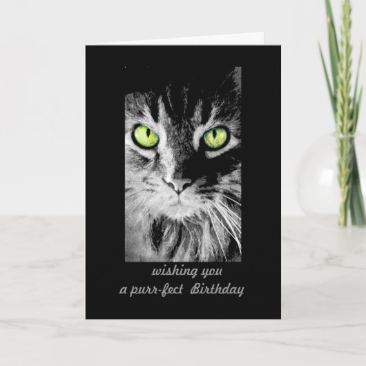 mignon chat kitty Anniversaire Carte photo art hum (Devant)